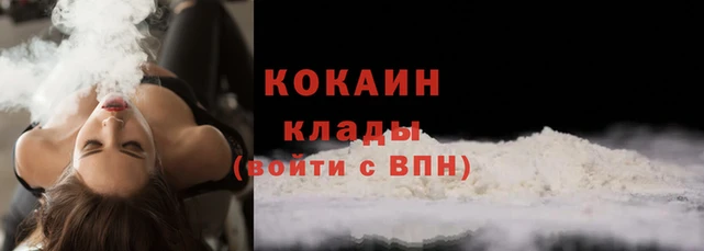 гашик Аркадак