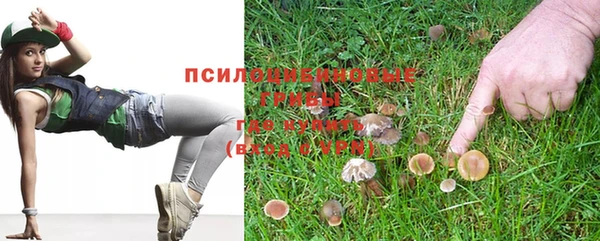 спайс Балабаново