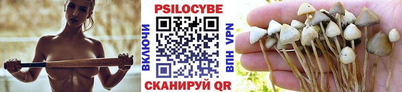 Псилоцибиновые грибы ЛСД  сколько стоит  mega   Мценск 